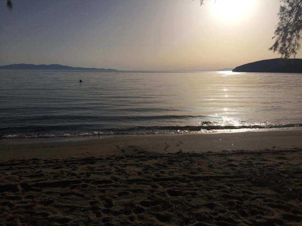 Elia Apartments Agios Romanos エクステリア 写真
