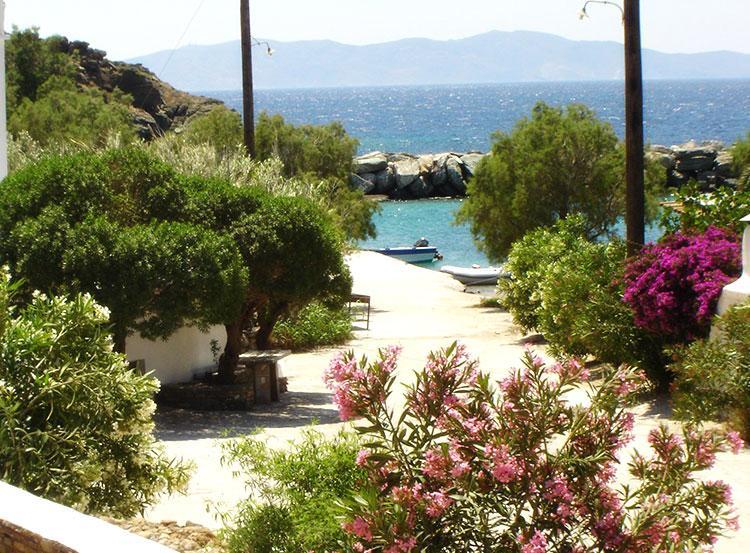 Elia Apartments Agios Romanos エクステリア 写真