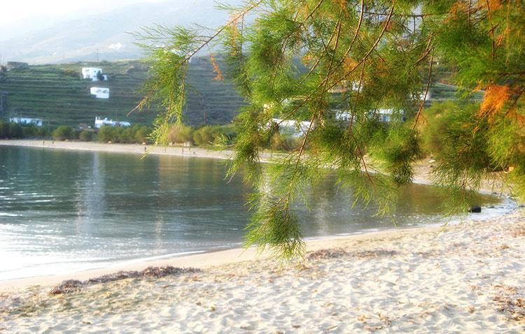 Elia Apartments Agios Romanos エクステリア 写真